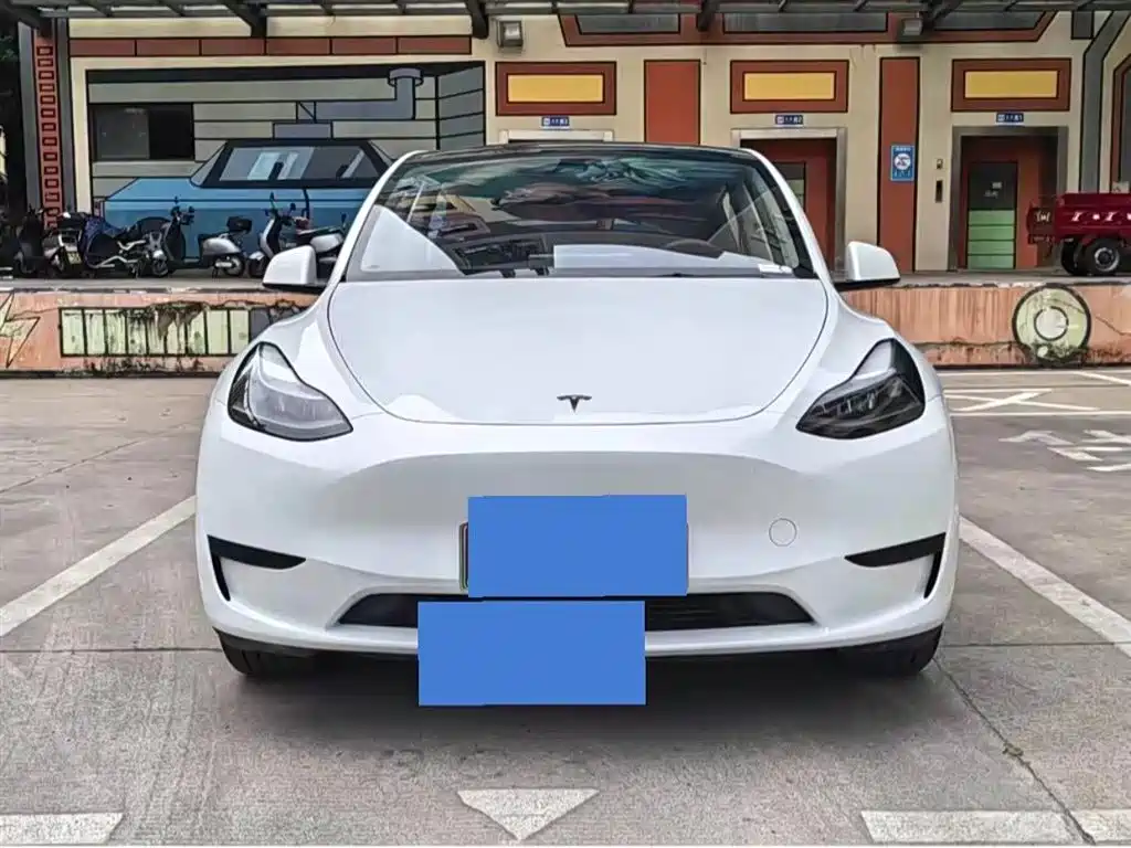 Tesla Model Y — фото 2