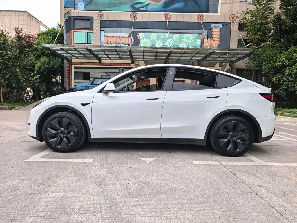 Tesla Model Y — фото 18