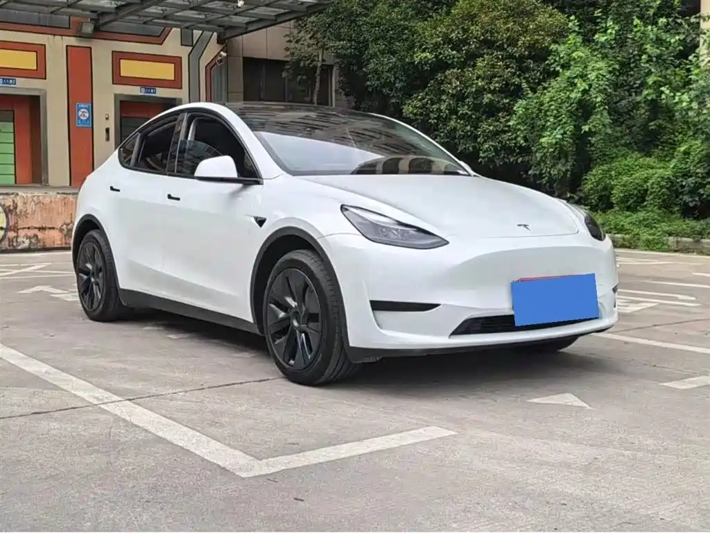Tesla Model Y — фото 3