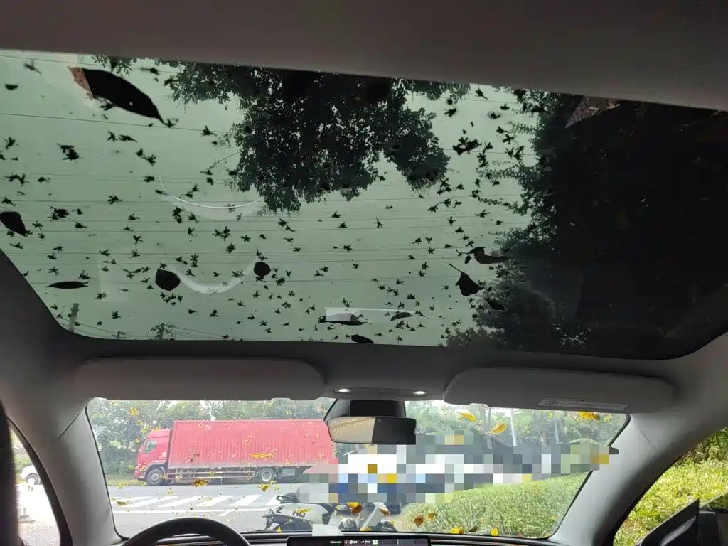 Tesla Model 3 — фото 14