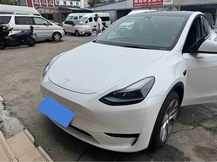 Tesla Model Y — фото 1