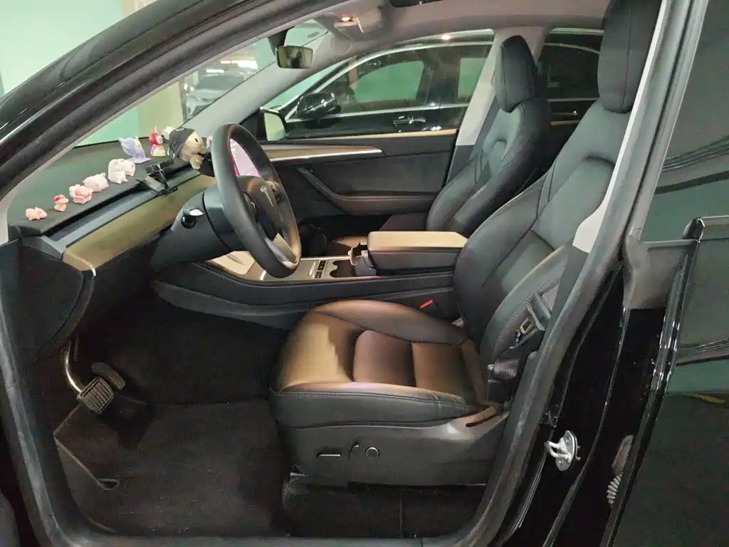 Tesla Model Y — фото 11