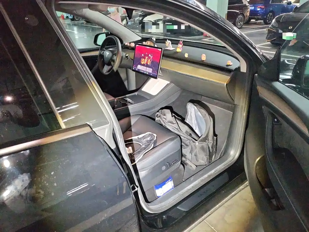 Tesla Model Y — фото 19