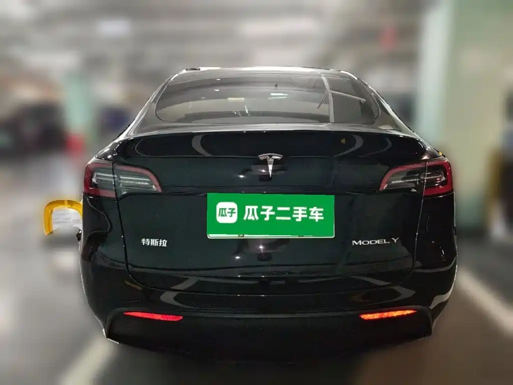 Tesla Model Y — фото 3