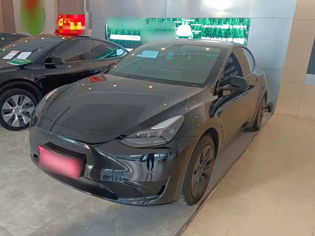 Tesla Model Y — фото 2