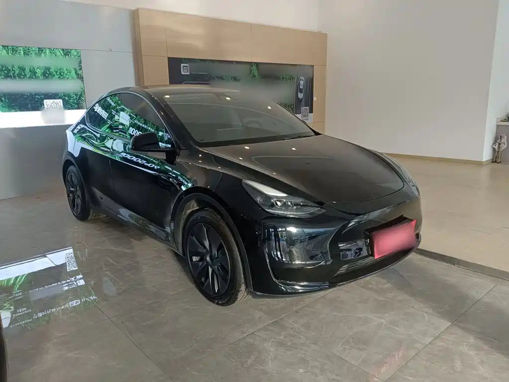 Tesla Model Y — фото 4