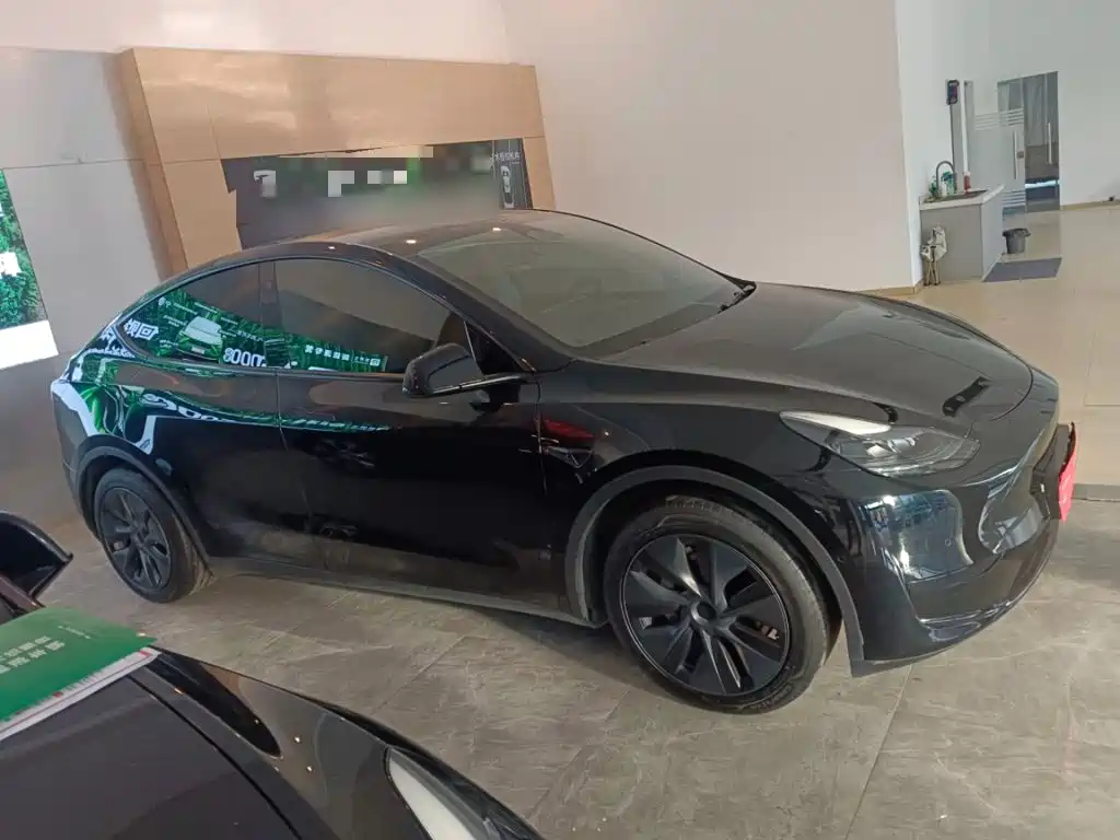 Tesla Model Y — фото 5