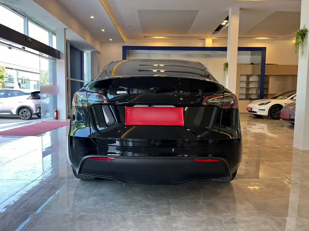 Tesla Model Y — фото 8