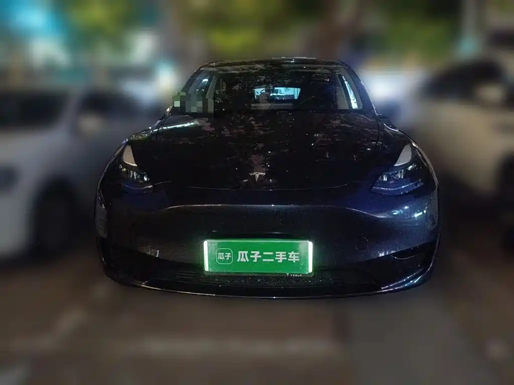 Tesla Model Y — фото 2