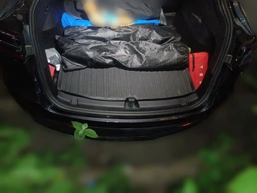 Tesla Model Y — фото 15