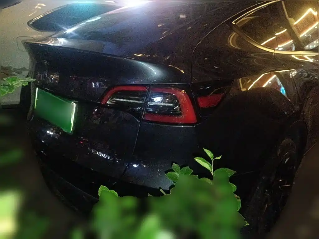 Tesla Model Y — фото 3