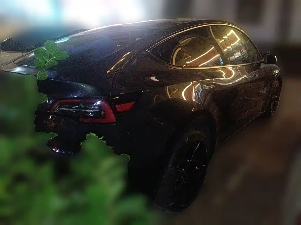 Tesla Model Y — фото 4