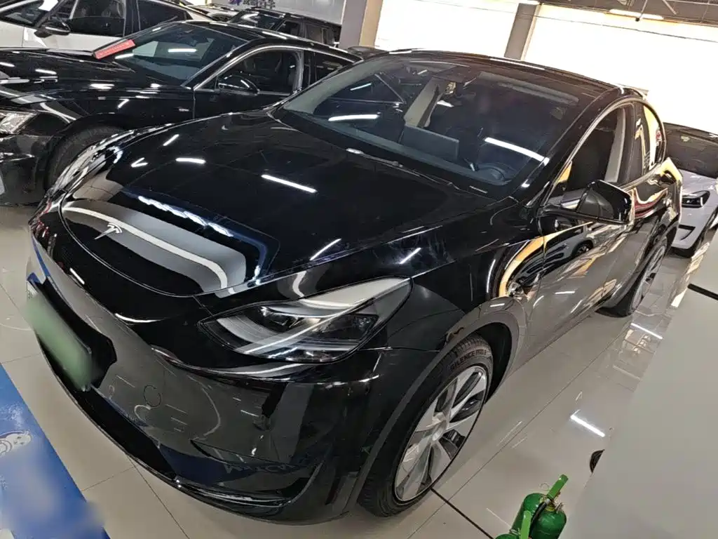 Tesla Model Y — фото 2