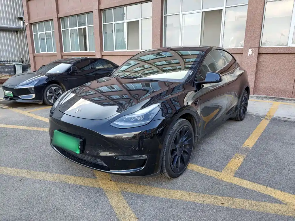Tesla Model Y — фото 2