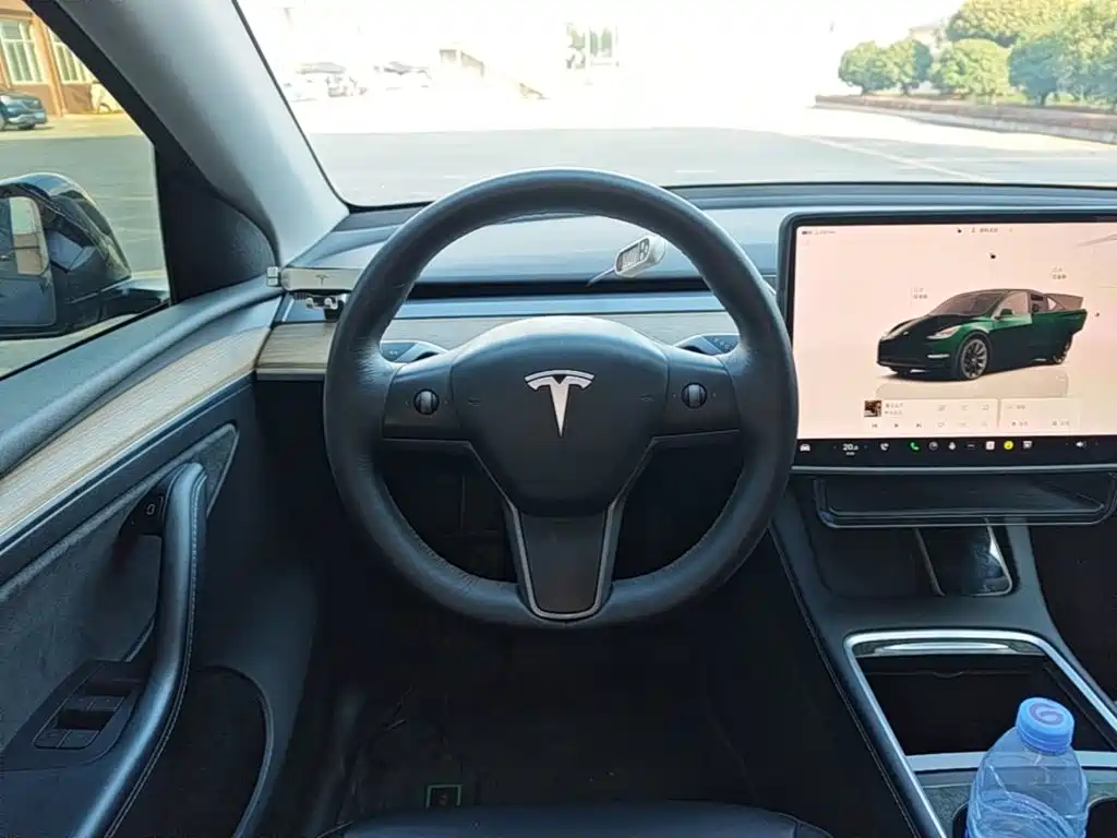 Tesla Model Y — фото 11