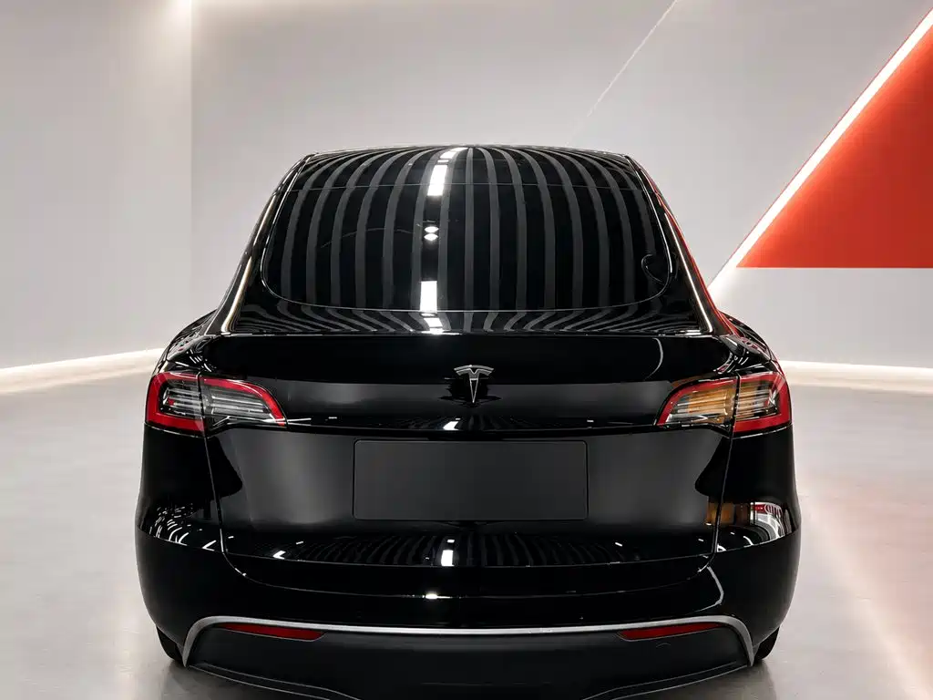 Tesla Model Y — фото 5