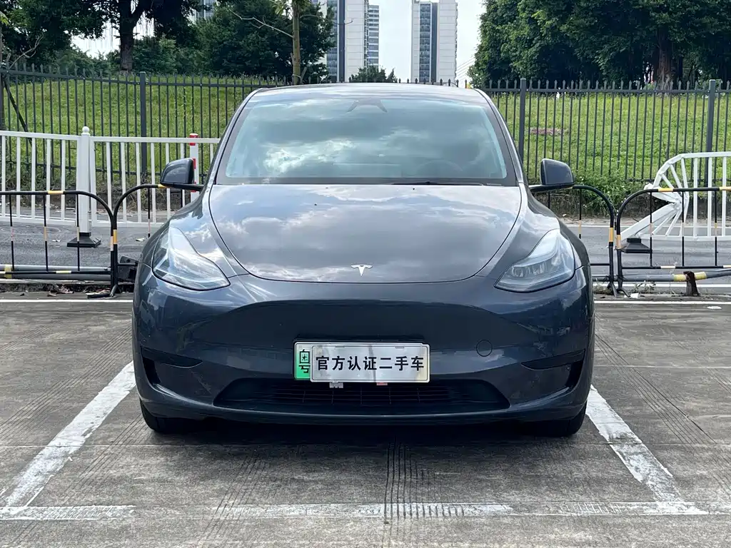 Tesla Model Y — фото 2