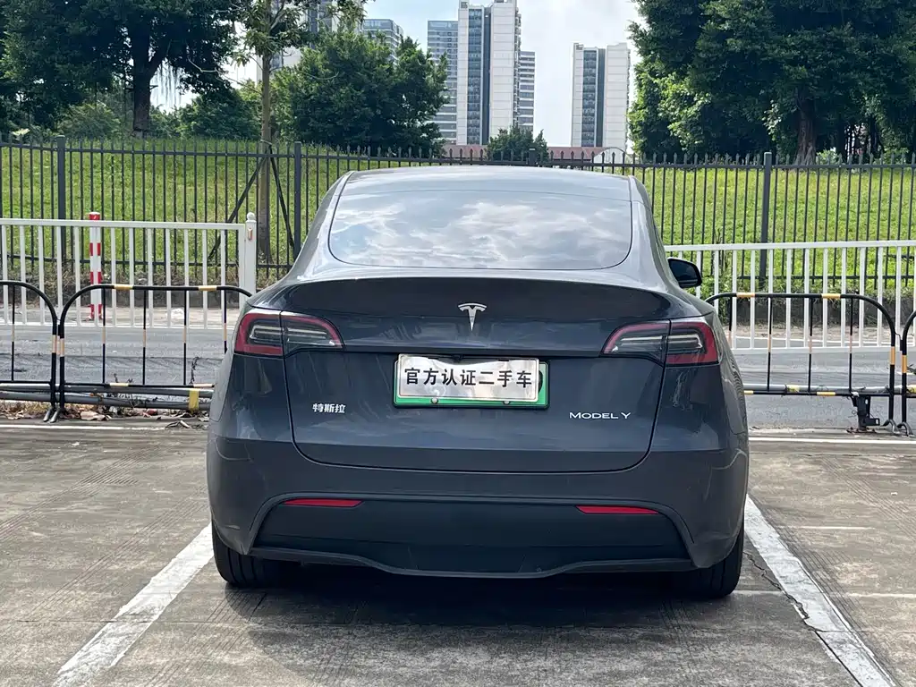 Tesla Model Y — фото 14