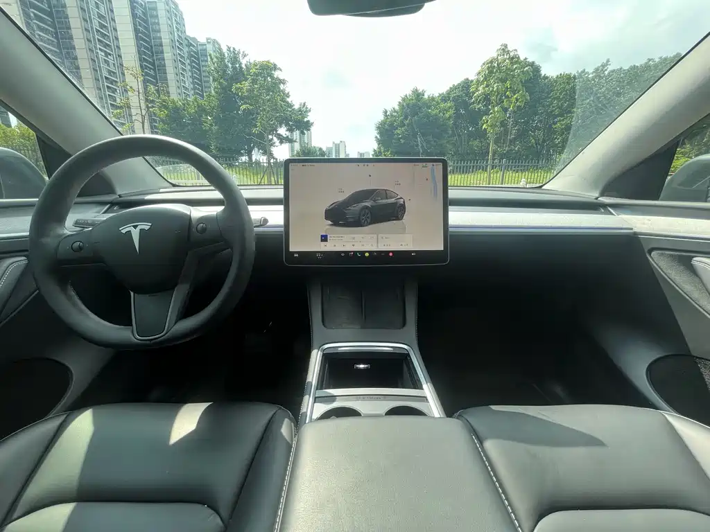 Tesla Model Y — фото 6