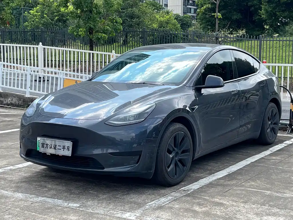 Tesla Model Y — фото 1
