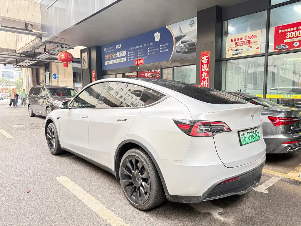 Tesla Model Y — фото 14