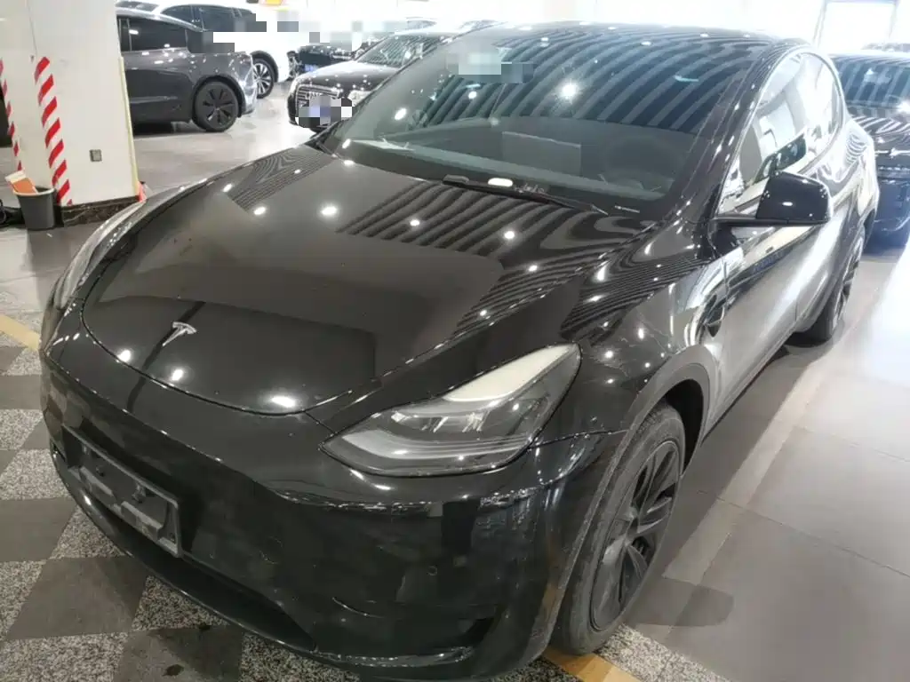 Tesla Model Y — фото 2
