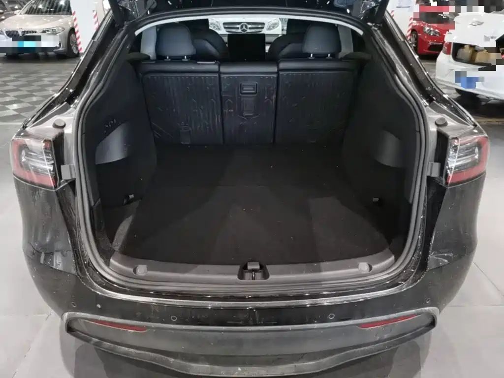 Tesla Model Y — фото 19