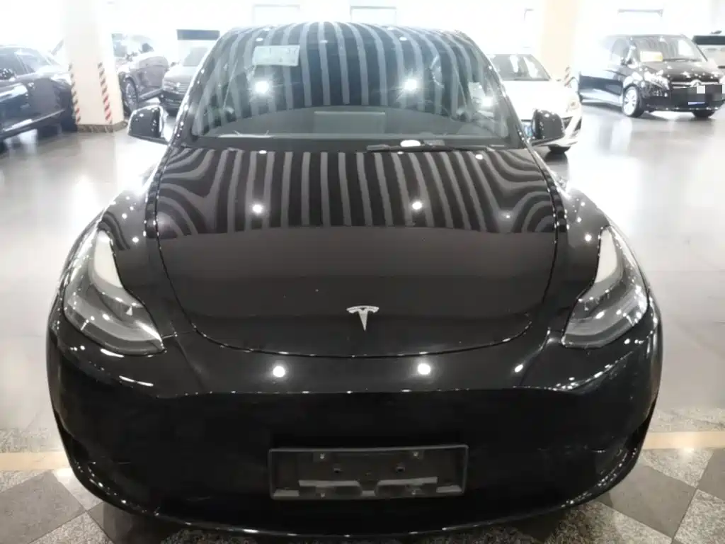 Tesla Model Y — фото 3