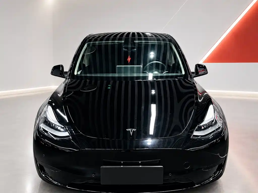 Tesla Model Y — фото 2