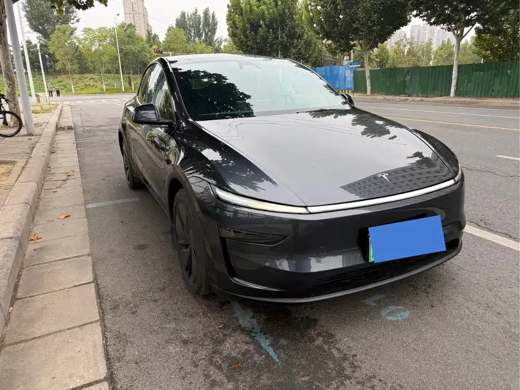 Tesla Model Y — фото 2