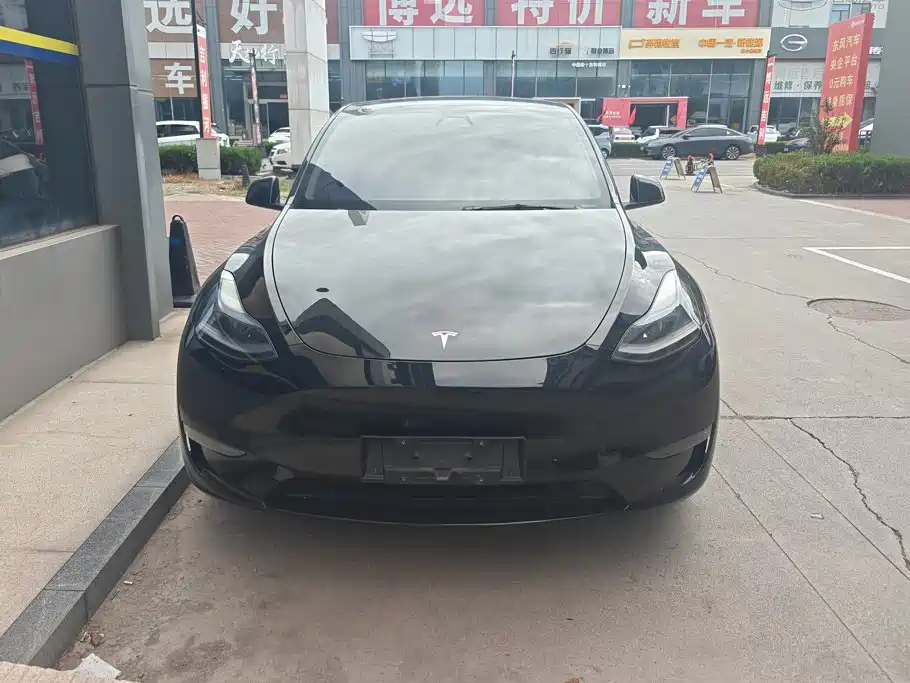 Tesla Model Y — фото 2
