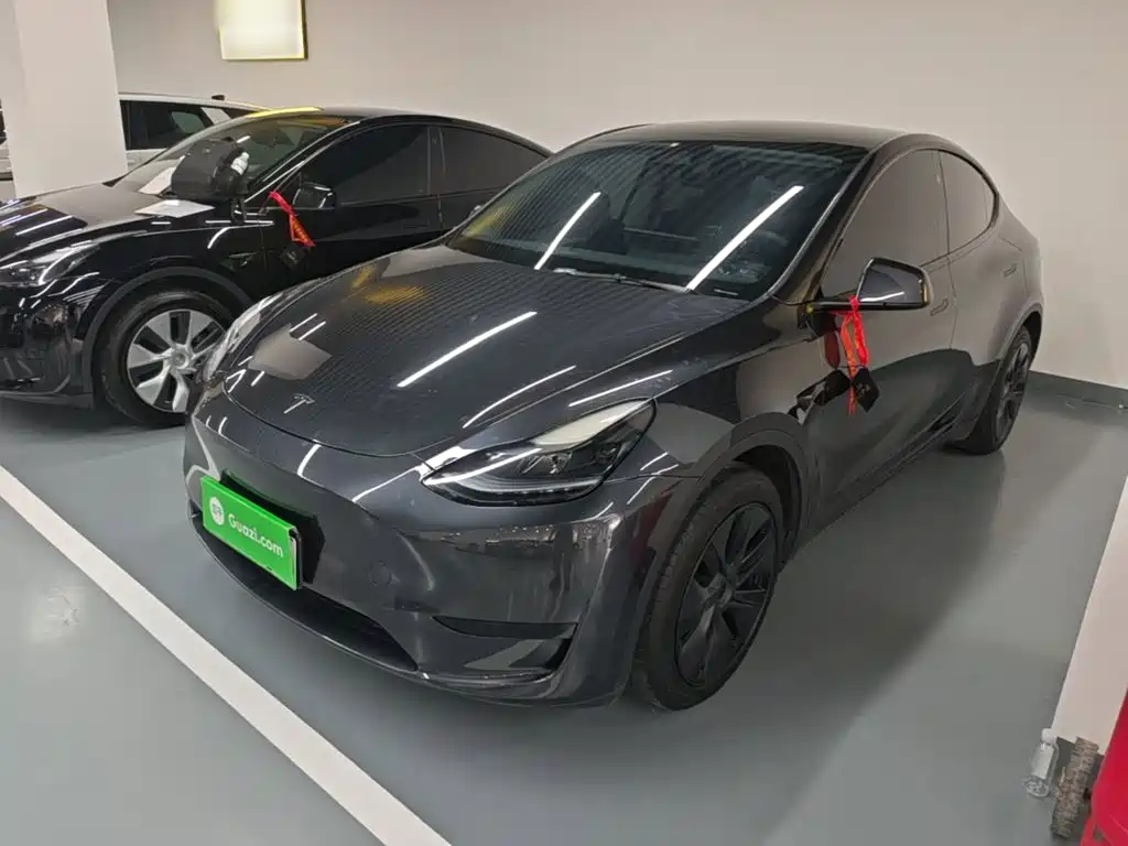 Tesla Model Y — фото 2