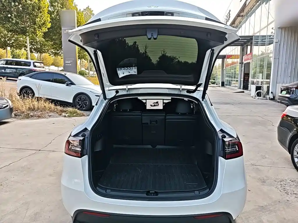 Tesla Model Y — фото 19
