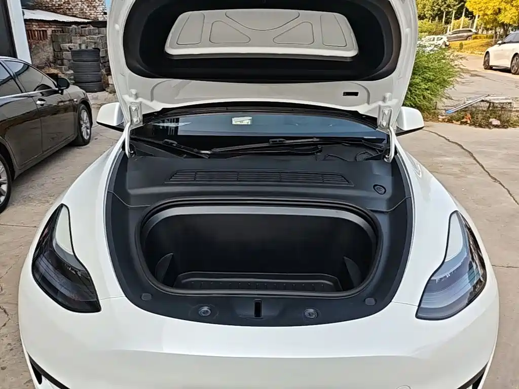 Tesla Model Y — фото 20