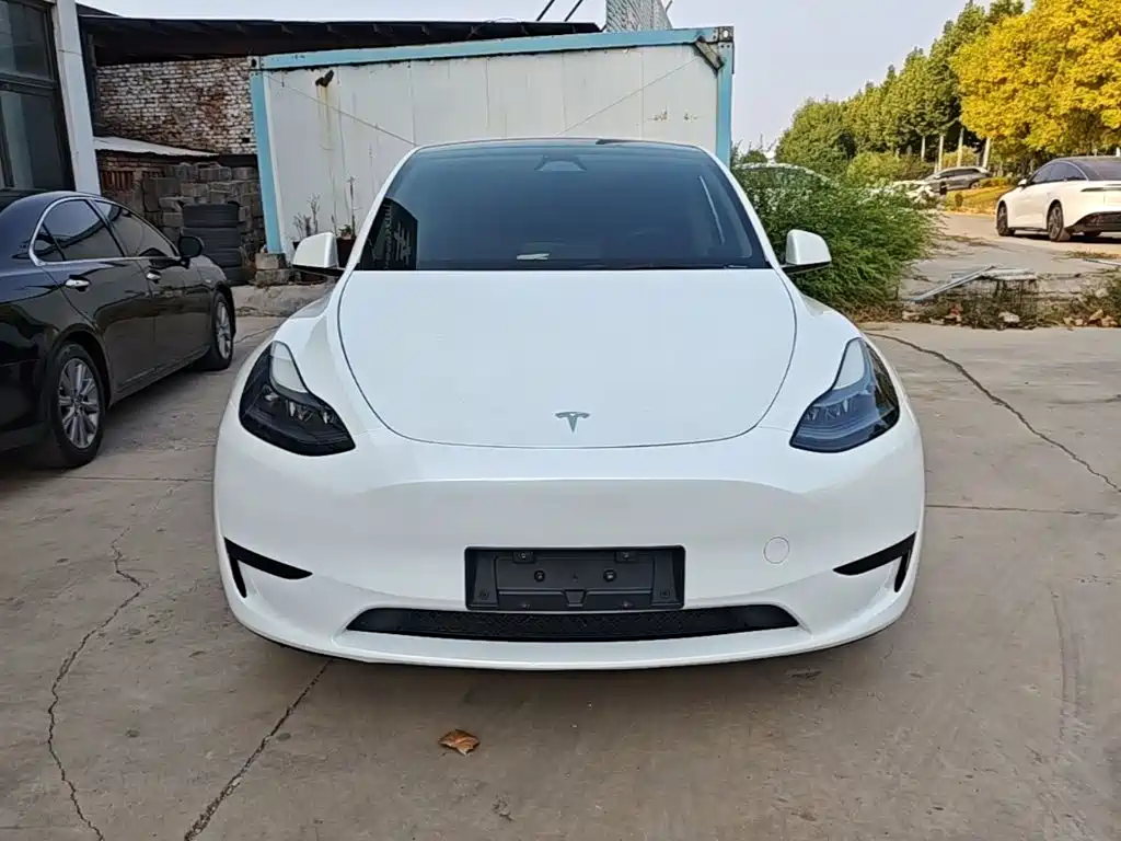Tesla Model Y — фото 3