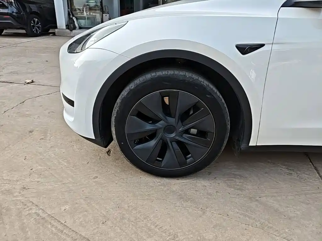 Tesla Model Y — фото 23