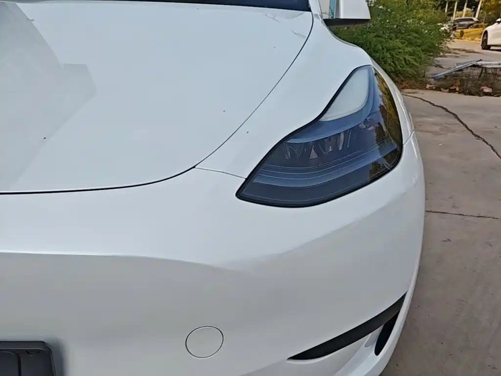 Tesla Model Y — фото 24