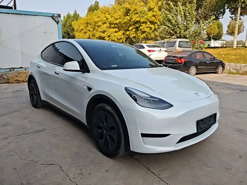 Tesla Model Y — фото 4