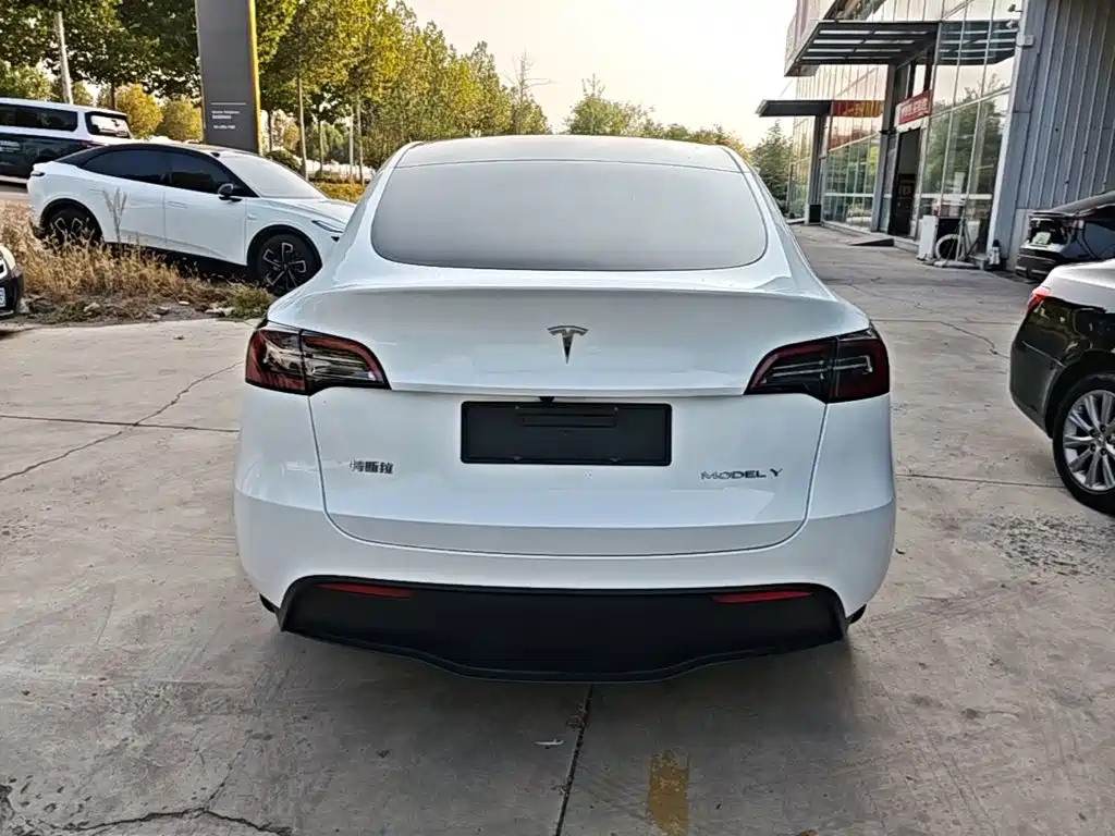 Tesla Model Y — фото 6