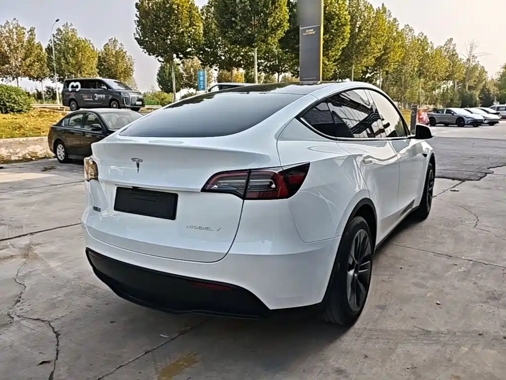 Tesla Model Y — фото 7