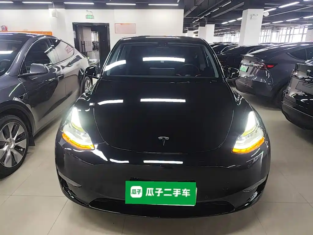 Tesla Model Y — фото 3