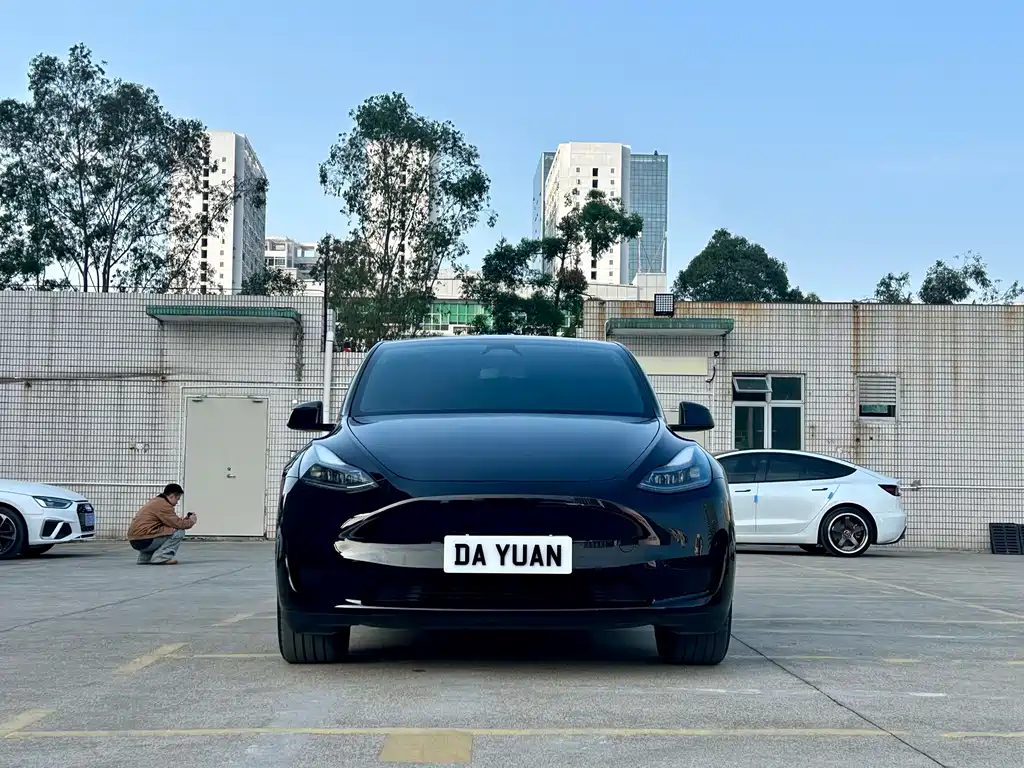 Tesla Model Y — фото 2