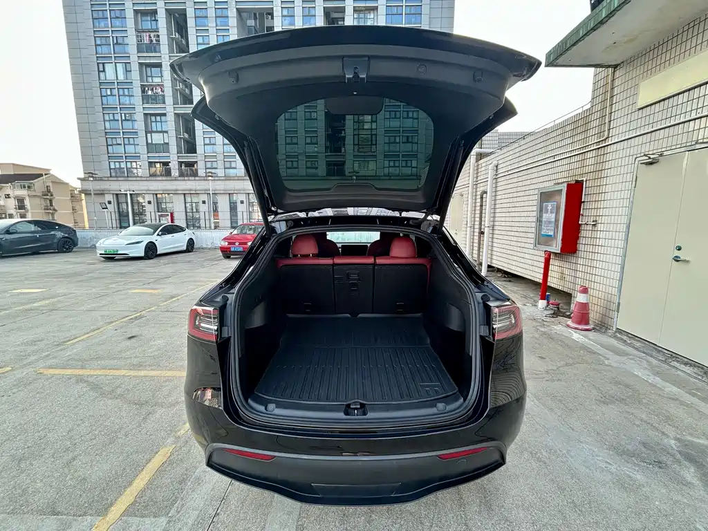 Tesla Model Y — фото 17