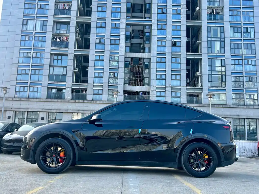 Tesla Model Y — фото 3