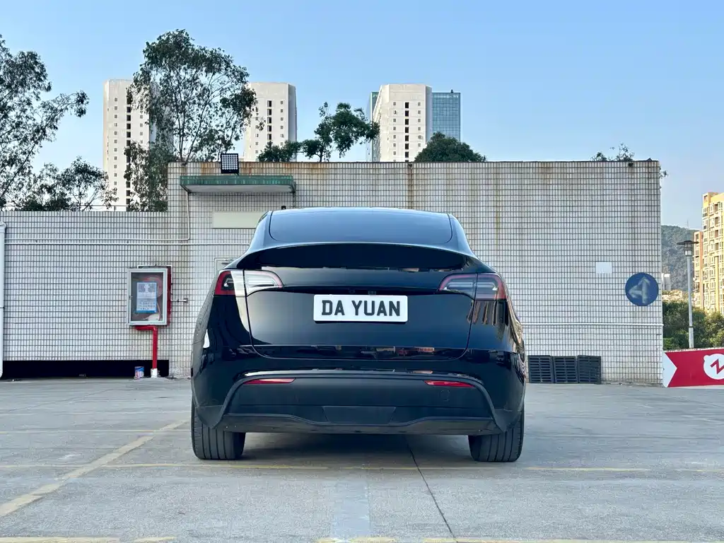 Tesla Model Y — фото 8
