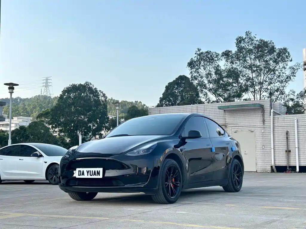 Tesla Model Y — фото 1