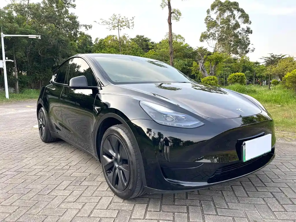 Tesla Model Y — фото 3