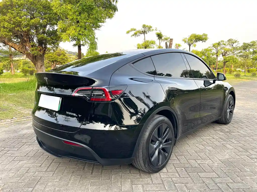Tesla Model Y — фото 9