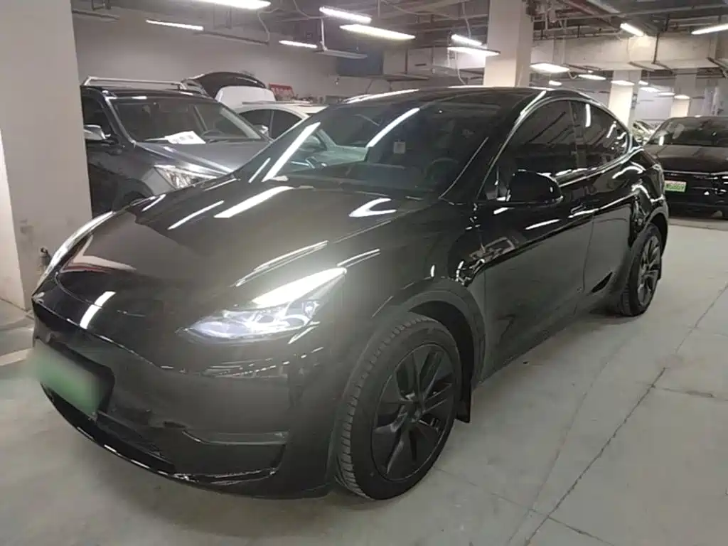 Tesla Model Y — фото 2