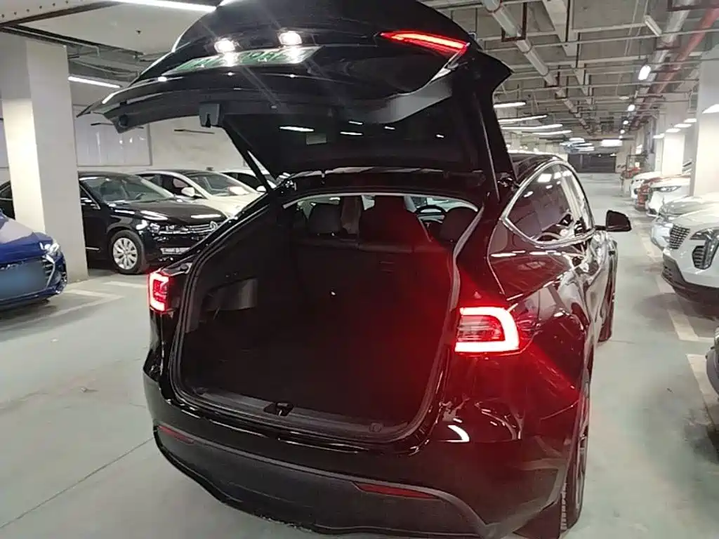 Tesla Model Y — фото 19